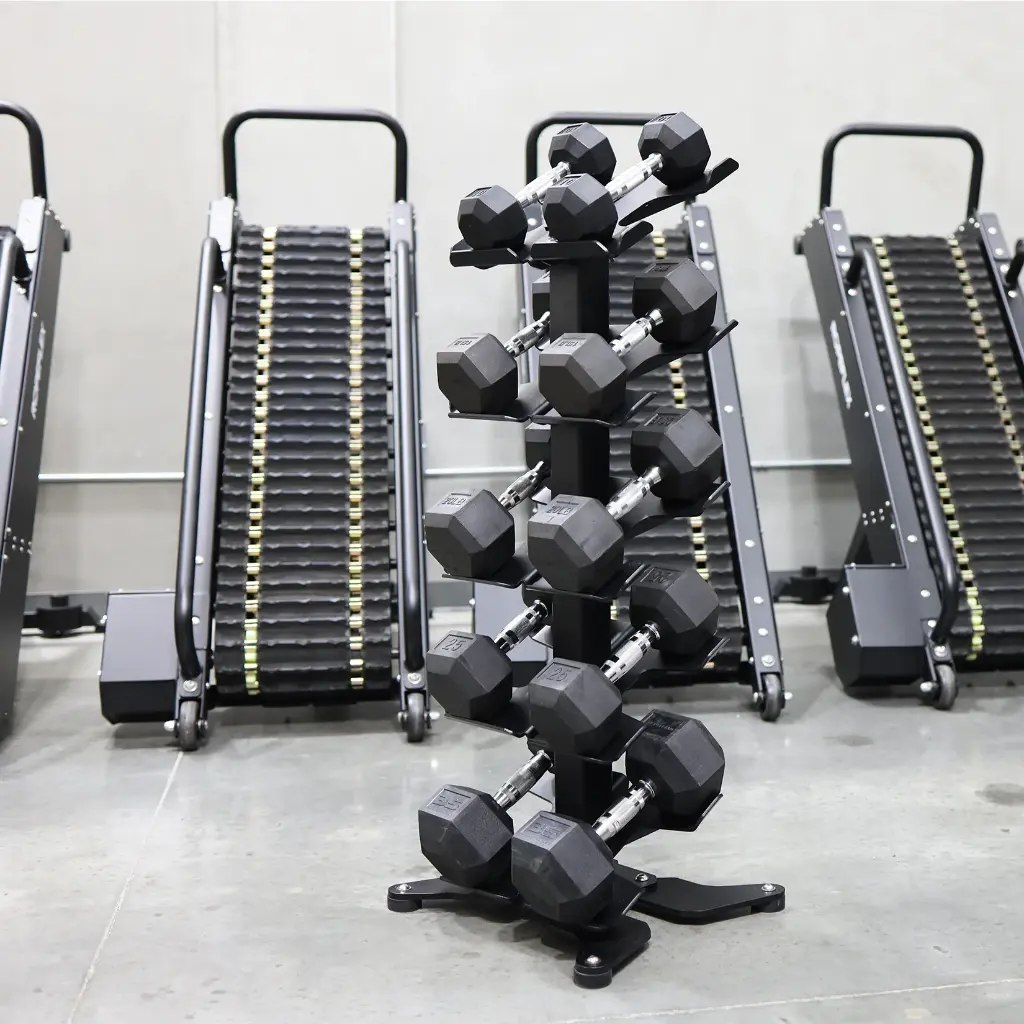 RDS2 DUMBBELL RACK