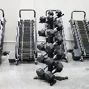 RDS2 Dumbbell Rack